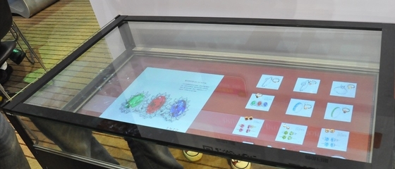 鹭众传媒供应全省最便宜的触控展示柜:触控展示柜价格行情-厦门市鹭众文化传媒提供鹭众传媒供应全省最便宜的触控展示柜:触控展示柜价格行情的相关介绍、产品、服务、图片、价格透明触控魔盒、纳米触控膜、触控一体机、 触控桌、厦门纳米触控、泉州纳米触控、